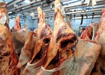 Viandes importées avariées : Saisie massive et dossier transmis à la justice