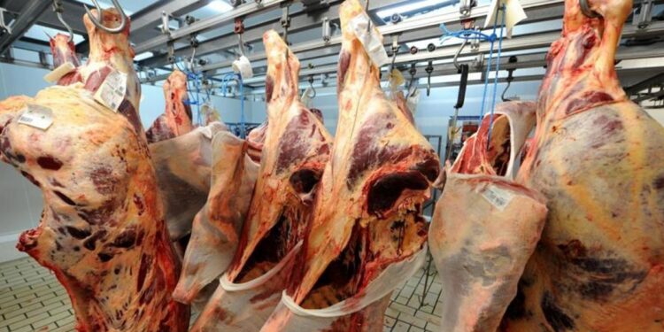 Viandes importées avariées : Saisie massive et dossier transmis à la justice