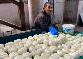 Everyday Tunisians : Ahmed et le fenouil craquant