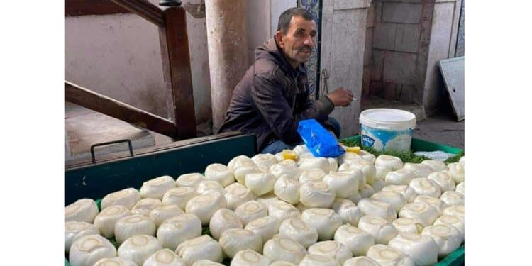 Everyday Tunisians : Ahmed et le fenouil craquant