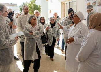 Dattes : 14 distributeurs européens en prospection dans le Sud tunisien