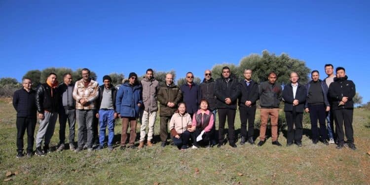 Jendouba : Un nouveau barrage pour renforcer l'eau potable de 100.000 habitants