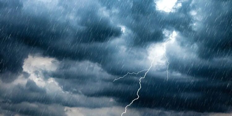 Tempête Harry en Tunisie : Greenpeace interpelle les puissances polluantes