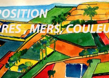 Espace d'art Imagin' : Leïla Ammar expose ses Terres, Mers et Couleurs