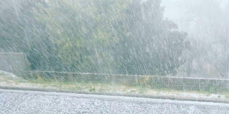 Pluies exceptionnelles : Beni Khalled et Menzel Bouzelfa en tête des cumuls enregistrés