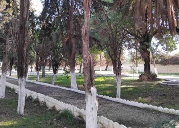 Mémoire husseinite : De Saniet El Bortal à Ksar Said