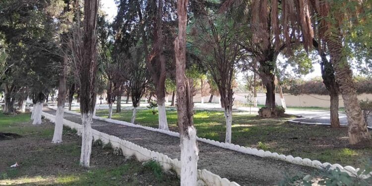 Mémoire husseinite : De Saniet El Bortal à Ksar Said