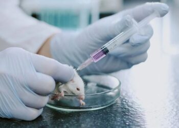 Thérapie triple : quand la recherche européenne défie l’un des cancers les plus mortels