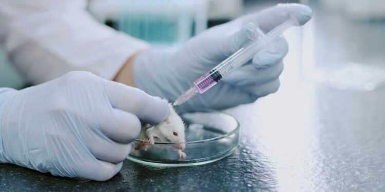 Thérapie triple : quand la recherche européenne défie l’un des cancers les plus mortels