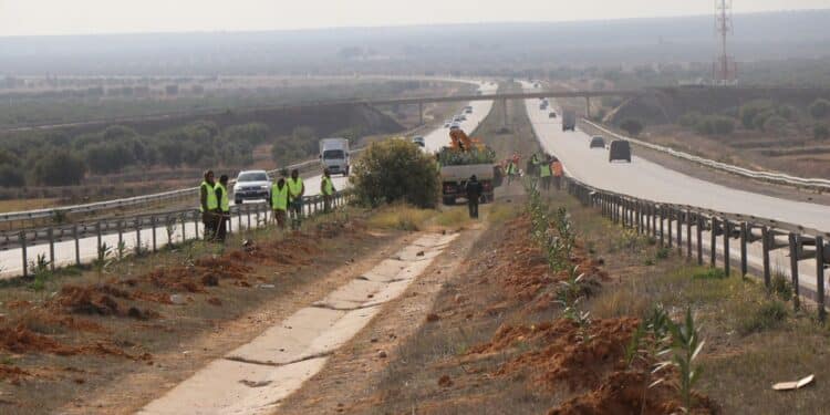 La Tunisie déploie sa "ceinture verte"