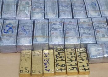 La douane tunisienne a saisi pour plus de 580 MD de marchandises de contrebande en 2025