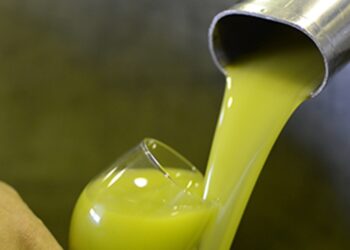 Huile d’olive : après l’Italie, les producteurs français s’interrogent