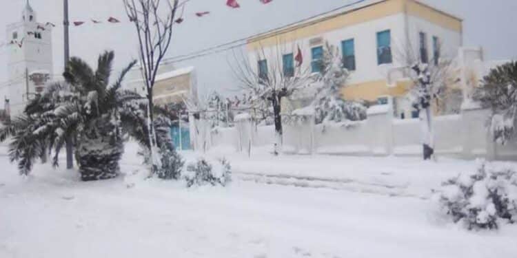 Petite histoire de la neige en Tunisie