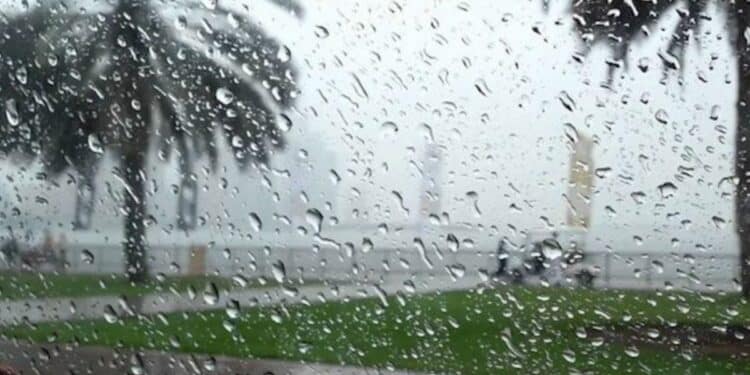 Intempéries en vue : Fortes pluies et vents violents attendus sur plusieurs régions