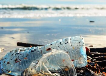 Déchets plastiques : La Tunisie au cœur d’une crise environnementale régionale
