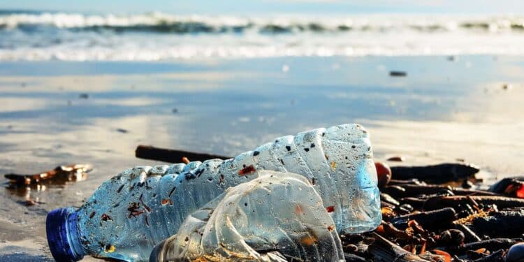 Déchets plastiques : La Tunisie au cœur d’une crise environnementale régionale