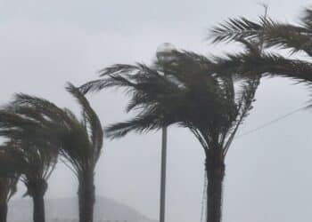 Nabeul : Appel à limiter les déplacements en raison de vents violents