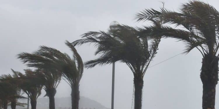 Nabeul : Appel à limiter les déplacements en raison de vents violents