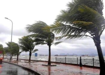 Tunisie - Météo : Vents très forts et pluies orageuses sur plusieurs régions
