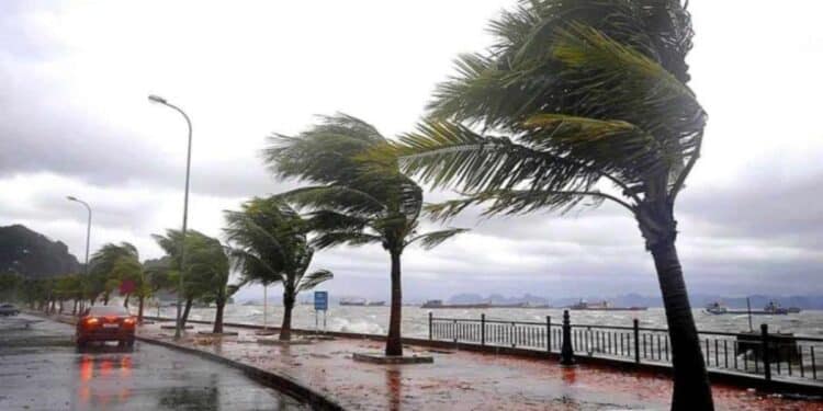 Tunisie - Météo : Fort coup de vent et retour des pluies