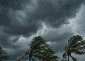 Vents violents : 20 gouvernorats placés en vigilance orange