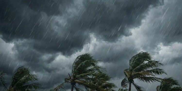 Vents violents : 20 gouvernorats placés en vigilance orange