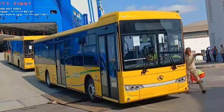 Transport public : 134 bus débarquent à La Goulette pour renforcer les réseaux régionaux