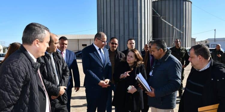 La Société Tunisienne du Sucre va relancer sa production