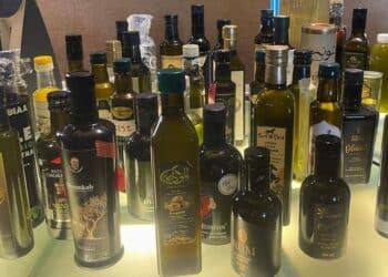 Huile d’olive : La Tunisie sacrée au Caire avec 46 médailles d’or