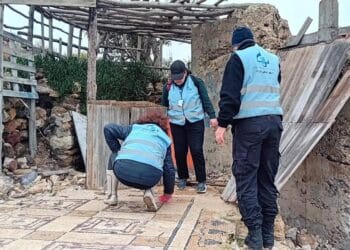 Bizerte : Des mosaïques mises au jour, mobilisation scientifique de l’INP