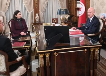 Infrastructure et habitat : Kaïs Saïed hausse le ton et exige une remise à niveau nationale