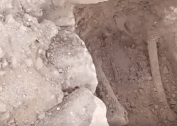 Mahdia : Découverte de la première nécropole fatimide identifiée en Tunisie