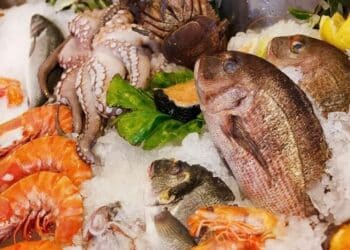 Pêche tunisienne : L’Italie capte plus du quart des exportations