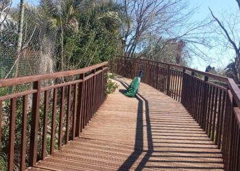 Vaste chantier de modernisation du zoo du Belvédère