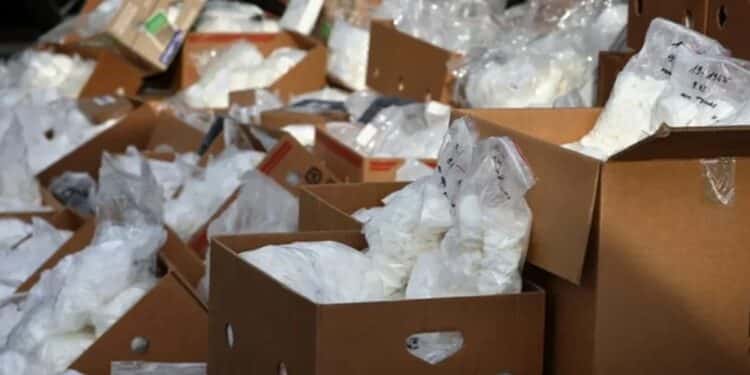 Cocaïne par la poste : 40 ans de prison pour un réseau entre l’Europe et la Tunisie