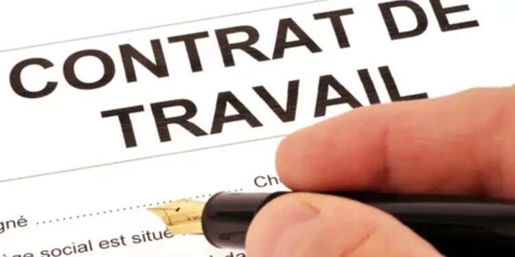 Depuis la révision du Code du travail : Hausse des contrats CDI et de l’emploi direct