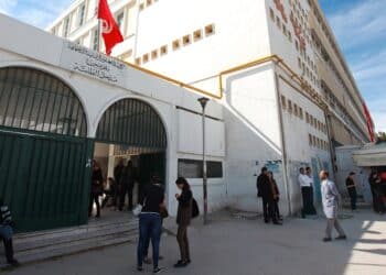 La Fédération de l’enseignement supérieur rejette un projet visant à nommer les présidents d’université