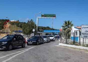 Afflux record de visiteurs algériens : Plus de 131 mille entrées en moins de deux mois