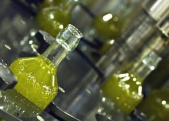 Espagne, Italie et États-Unis concentrent 66,6% des exportations tunisiennes d’huile d’olive