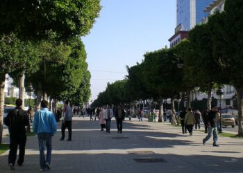 Tunisie : 8% de pouvoir d’achat perdu pour les ménages en six ans, selon l'IACE