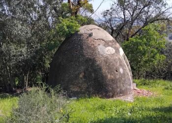 Crédit photos : Hatem Bourial