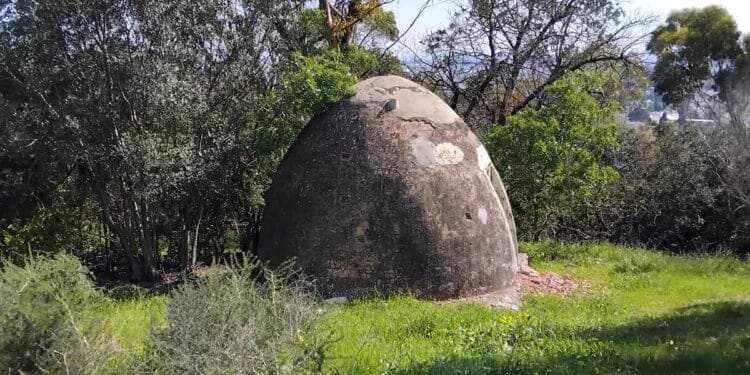 Crédit photos : Hatem Bourial