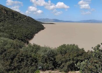 Parc national d'Ichkeul : Les refoulés plus nombreux que les admis