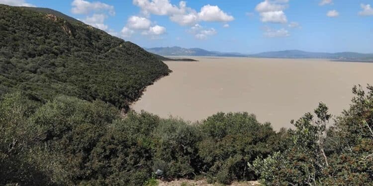 Parc national d'Ichkeul : Les refoulés plus nombreux que les admis