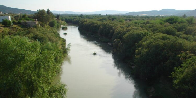 La Medjerda, unique cours d'eau pérenne en Tunisie,