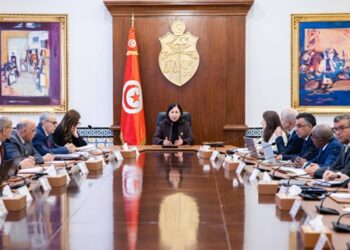 À la Kasbah, la cheffe du gouvernement Sarra Zaafrani Zenzri préside le conseil ministériel dédié à la relance de Ciment de Bizerte.