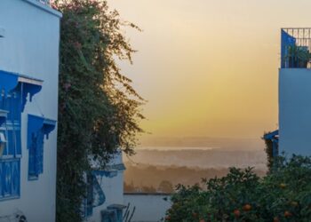 Le New York Times raconte Tunis, mais une partie seulement