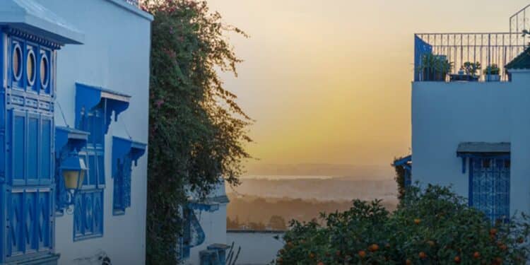 Le New York Times raconte Tunis, mais une partie seulement