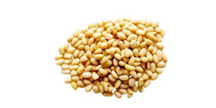 Des pignons à 200 dinars le kilo