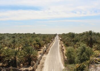 Rjim Maatoug : comment l’armée a contribué à transformer le désert tunisien